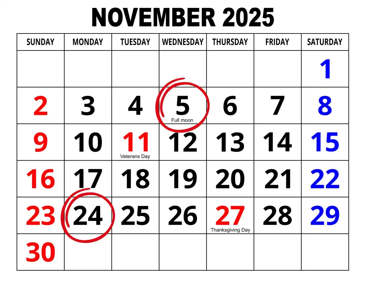 November 2025 India Holiday List and Festivals